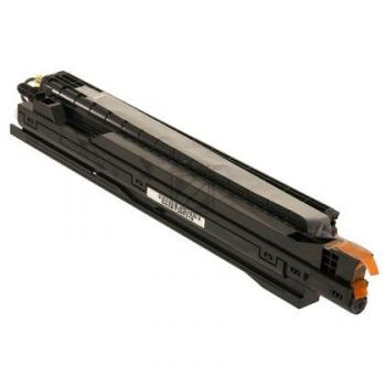 Ricoh Entwicklereinheit schwarz (D8093001)