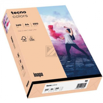 TECNO COLORS LACHS KOPIERPAPIER A4 2100011377 250Blatt 160gr