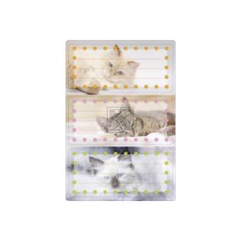 HERMA Schuletiketten 5569 Motiv 6 Stück