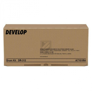 Develop Fotoleitertrommel (A7Y01RH, DR-312)