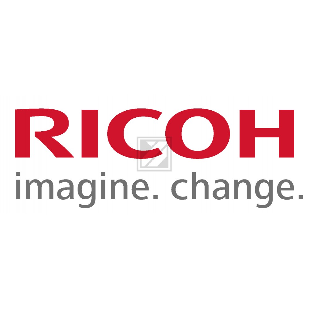 Ricoh Tintenpatrone (Garment Sublimation) weiß (1) (342556, Type 1)