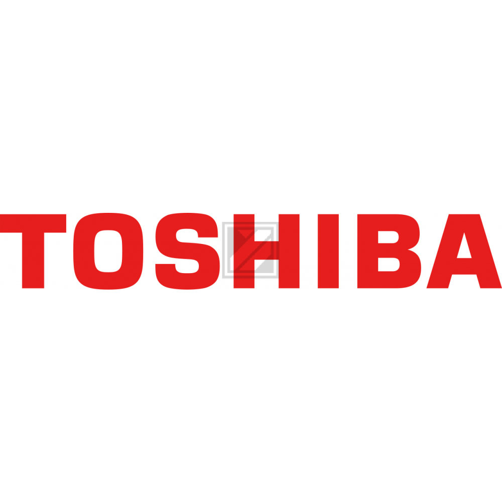 Toshiba Entwickler (6LA58937100, D-2021)