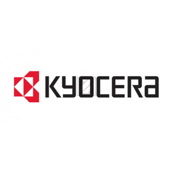 Kyocera Entwickler (302LY93010, DV-160)