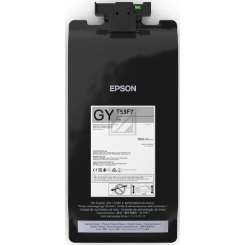 Epson Tintenpatrone grau (C13T53F700, T53F7)