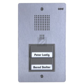 Auerswald TFS-Dialog 302