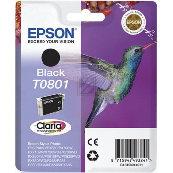 Epson Tintenpatrone schwarz (C13T08014021, T0801)
