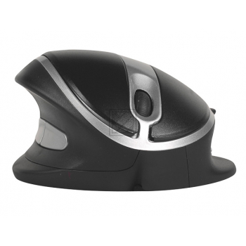 BNEOYMWL BAKKER OYSTER MAUS KABELLOS gross