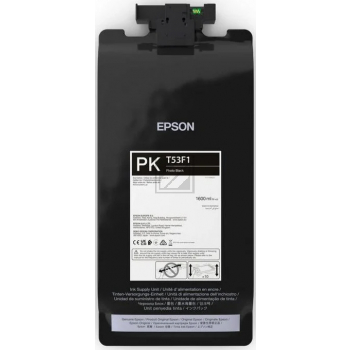 Epson Tintenpatrone photo schwarz (C13T53F100, T53F1)