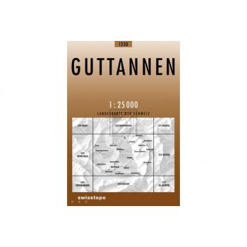 SWISSTOPO Landkarte 1230 Guttannen 1:25'000