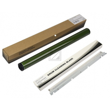 Sharp Fotoleitertrommel (MX-560DR)