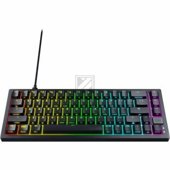 CHERRY XTRFY K5V2 TASTATUR DE CX-K5V2-RGB-CPT-BLACK-R-GER (CX-K5V2-RGB-CPT-BLACK-R-GER)